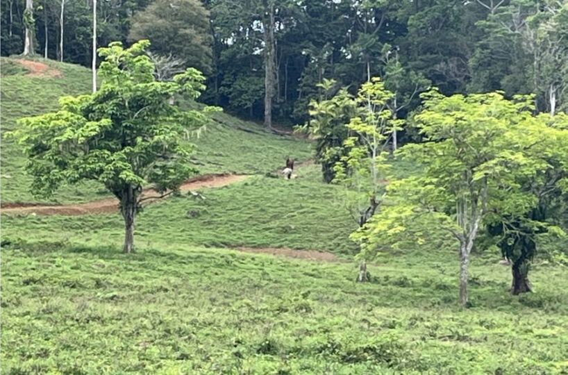 Development Land for sale in Uvita Costa Rica