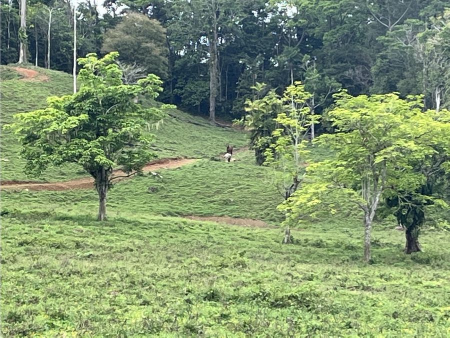 Development Land for sale in Uvita Costa Rica