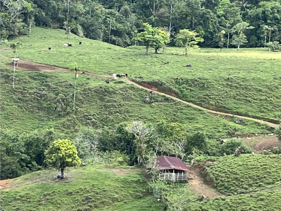 Development Land for sale in Uvita Costa Rica