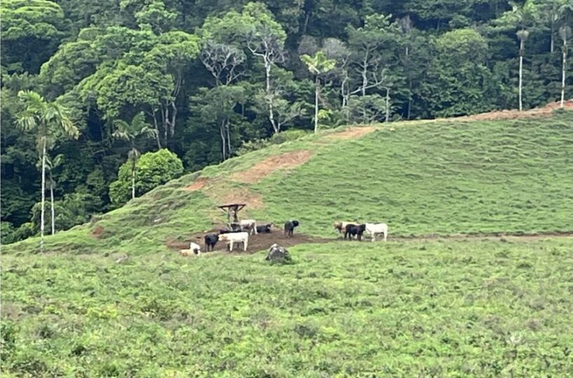 Development Land for sale in Uvita Costa Rica