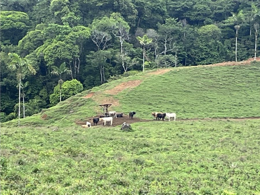 Development Land for sale in Uvita Costa Rica