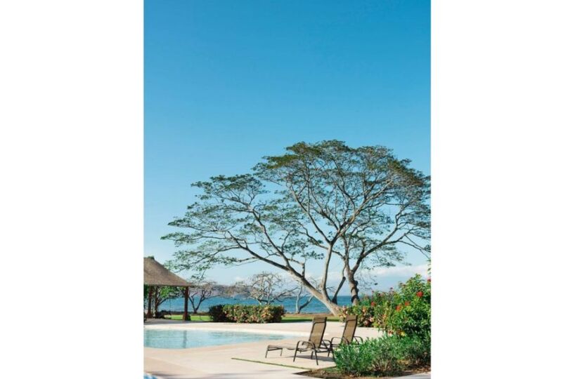 Hotel - B&B for sale in CobanoPlaya Naranjo Costa Rica