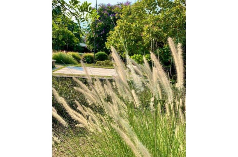 Hotel - B&B for sale in CobanoPlaya Naranjo Costa Rica