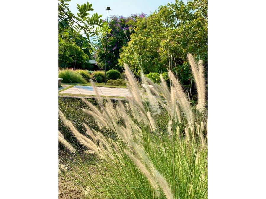 Hotel - B&B for sale in CobanoPlaya Naranjo Costa Rica