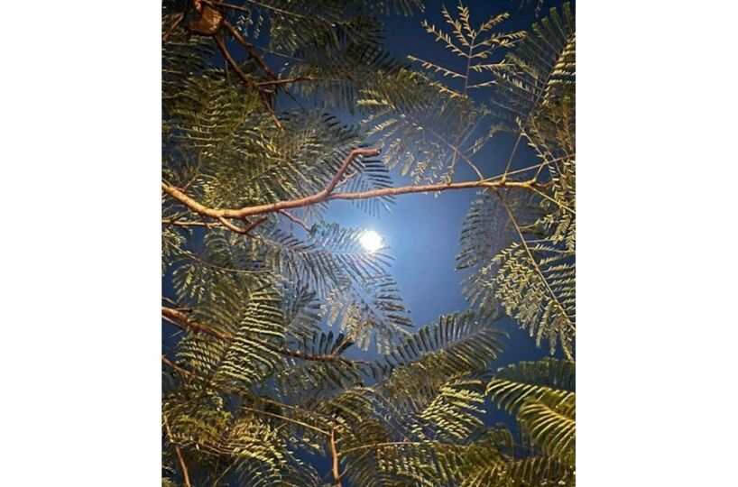 Hotel - B&B for sale in CobanoPlaya Naranjo Costa Rica