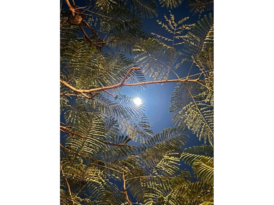 Hotel - B&B for sale in CobanoPlaya Naranjo Costa Rica