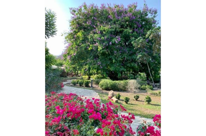 Hotel - B&B for sale in CobanoPlaya Naranjo Costa Rica