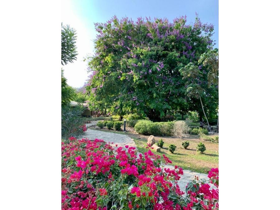 Hotel - B&B for sale in CobanoPlaya Naranjo Costa Rica