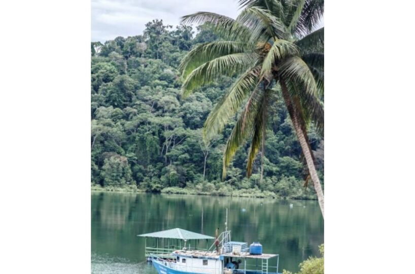 Homes for sale in Puerto Jimenez Costa Rica