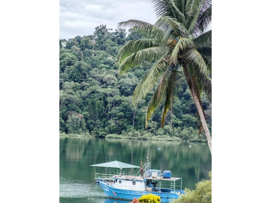 Homes for sale in Puerto Jimenez Costa Rica