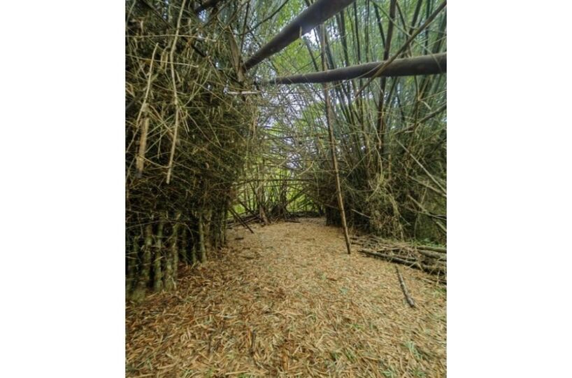 Homes for sale in Puerto Jimenez Costa Rica