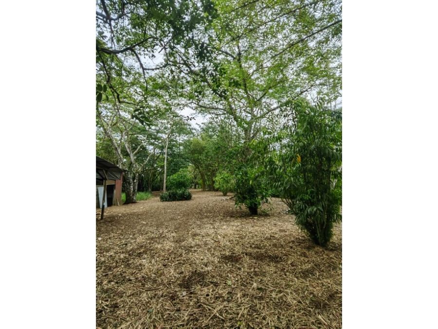 Homes for sale in Puerto Jimenez Costa Rica