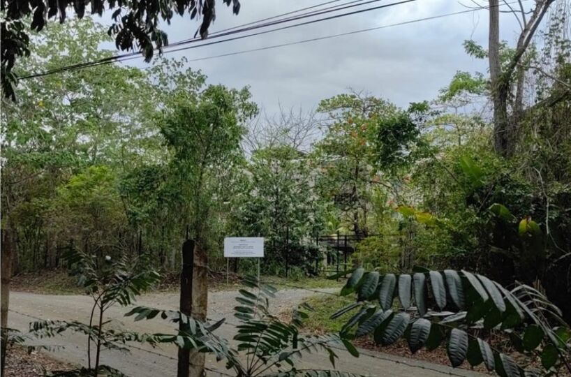 Homes for sale in Puerto Jimenez Costa Rica