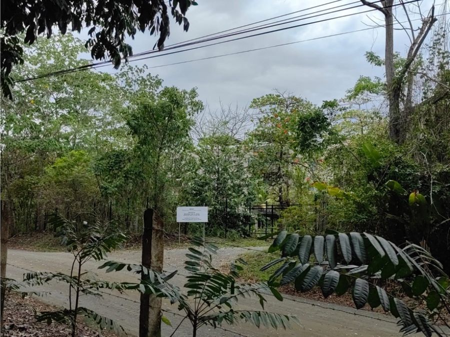 Homes for sale in Puerto Jimenez Costa Rica