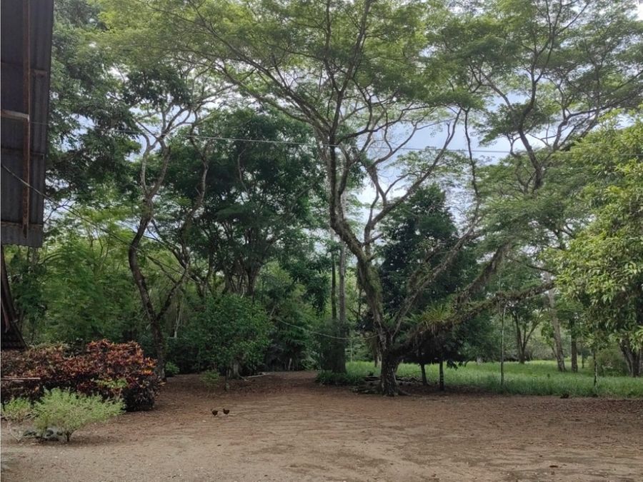 Homes for sale in Puerto Jimenez Costa Rica