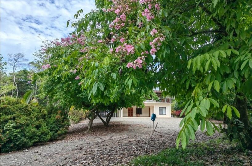 Homes for sale in Puerto Jimenez Costa Rica