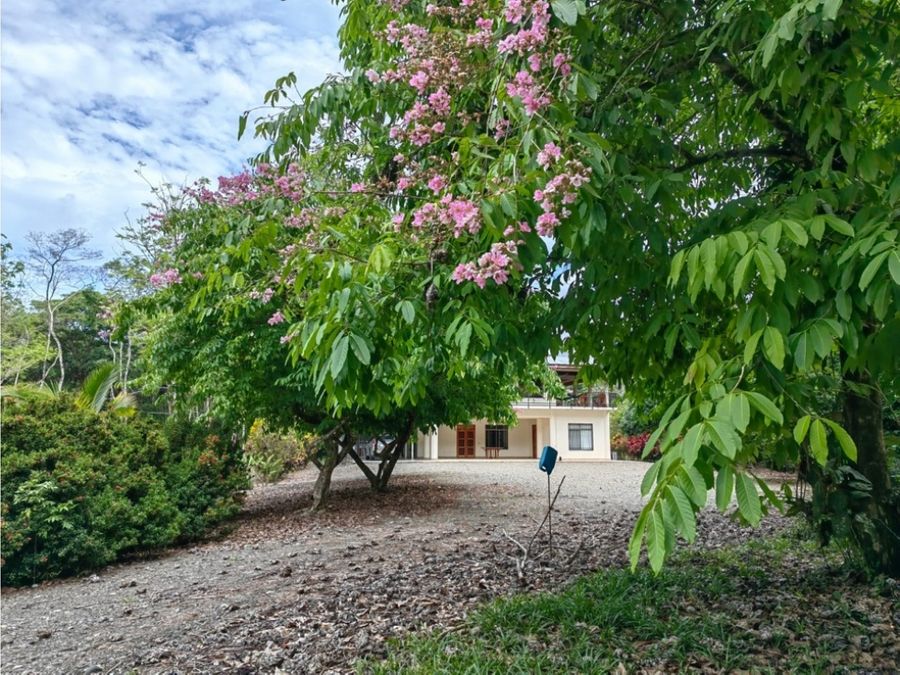 Homes for sale in Puerto Jimenez Costa Rica