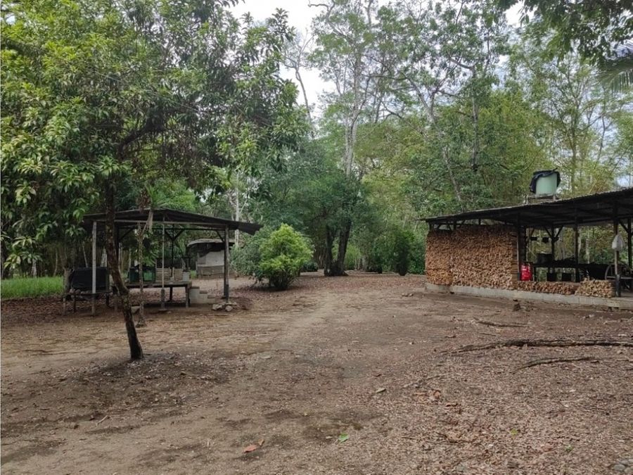 Homes for sale in Puerto Jimenez Costa Rica