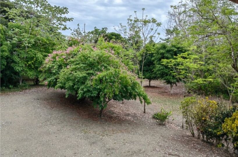 Homes for sale in Puerto Jimenez Costa Rica