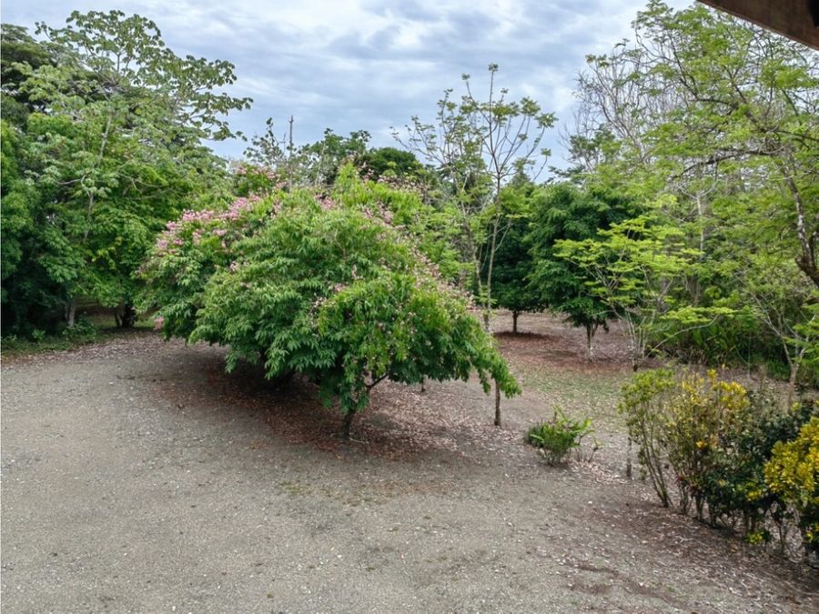 Homes for sale in Puerto Jimenez Costa Rica