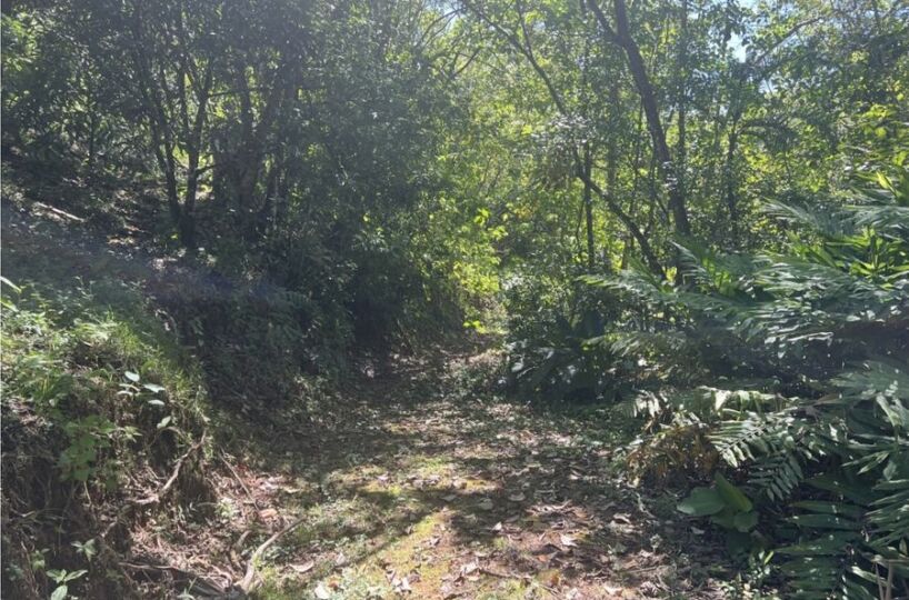 Building Lots for sale in Uvita Costa Rica