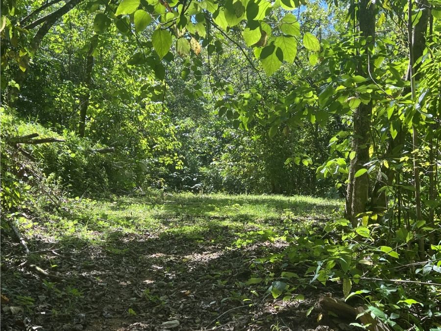 Building Lots for sale in Uvita Costa Rica