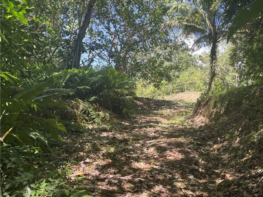 Building Lots for sale in Uvita Costa Rica