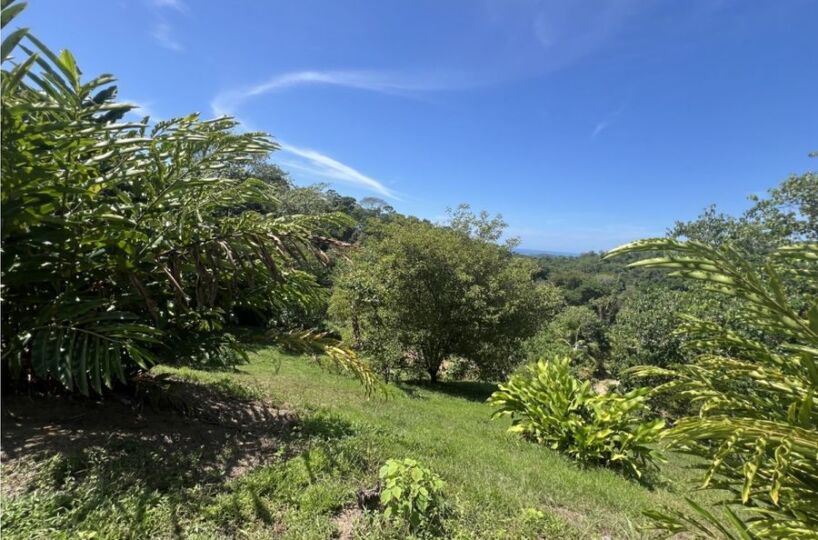 Building Lots for sale in Uvita Costa Rica