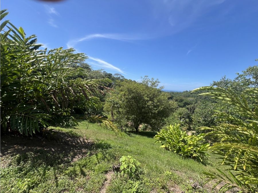 Building Lots for sale in Uvita Costa Rica