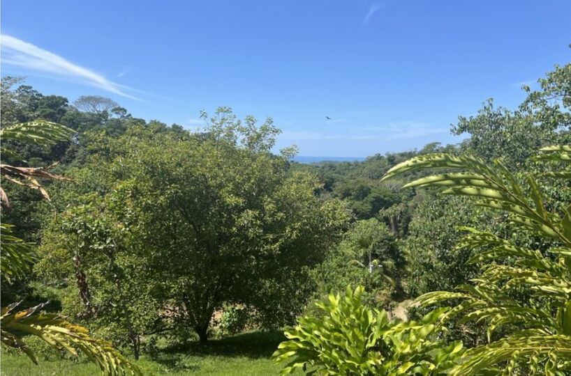 Building Lots for sale in Uvita Costa Rica