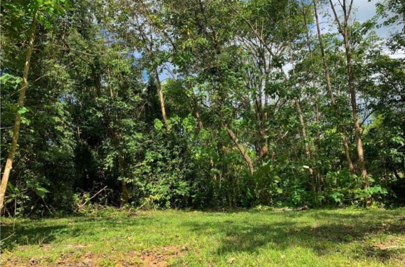 Building Lots for sale in Uvita Costa Rica