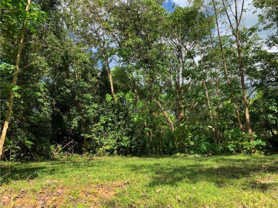 Building Lots for sale in Uvita Costa Rica