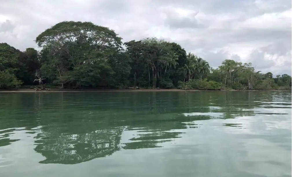 Development Land for sale in Puerto Jimenez Costa Rica
