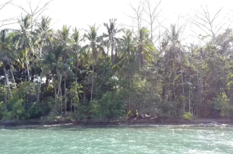Development Land for sale in Puerto Jimenez Costa Rica