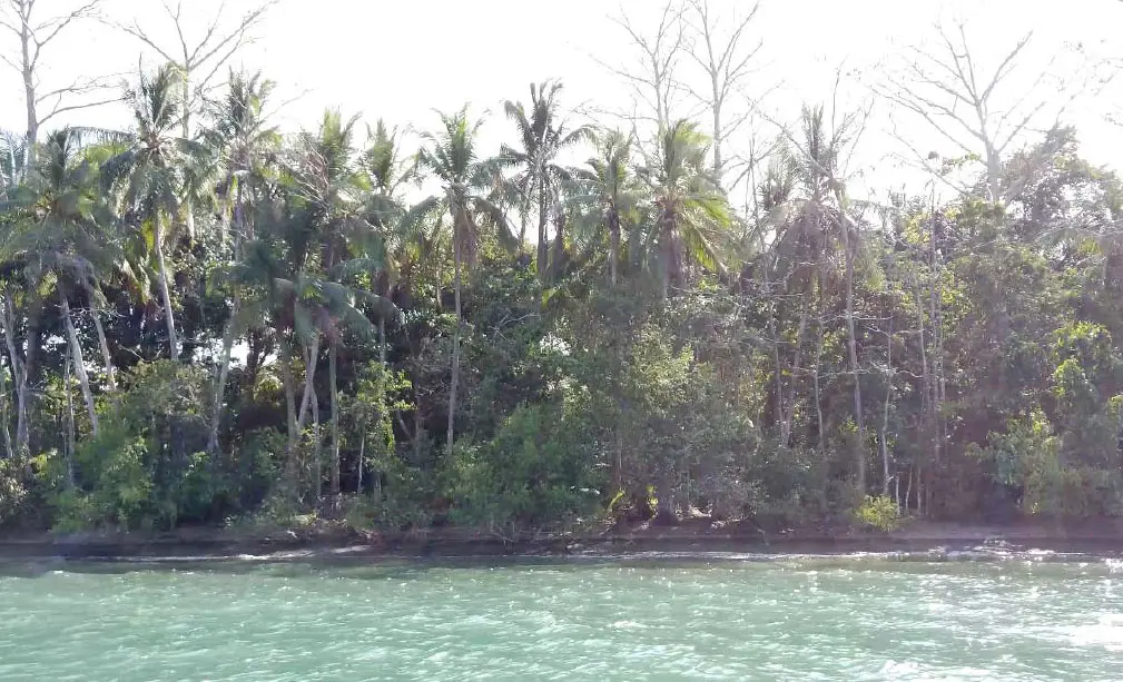 Development Land for sale in Puerto Jimenez Costa Rica