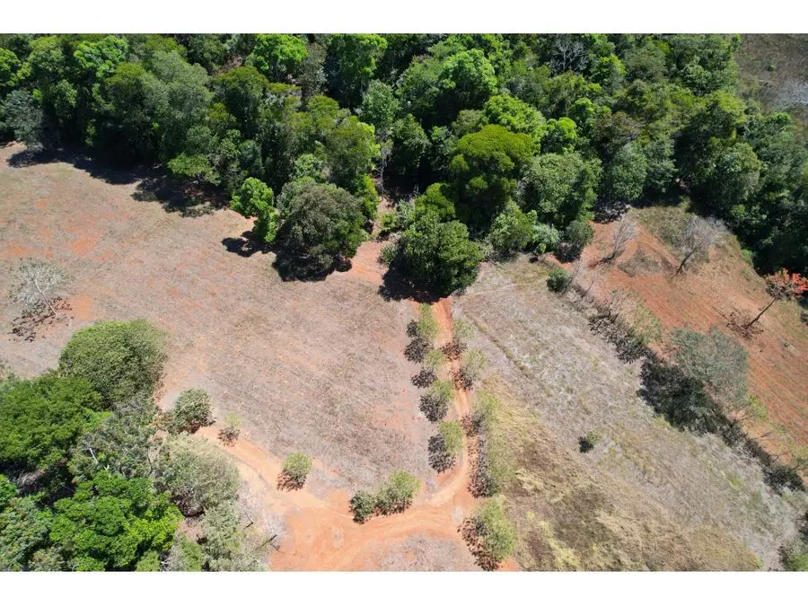 Farms and Ranches for sale in San Isidro-Perez Zeledon Costa Rica