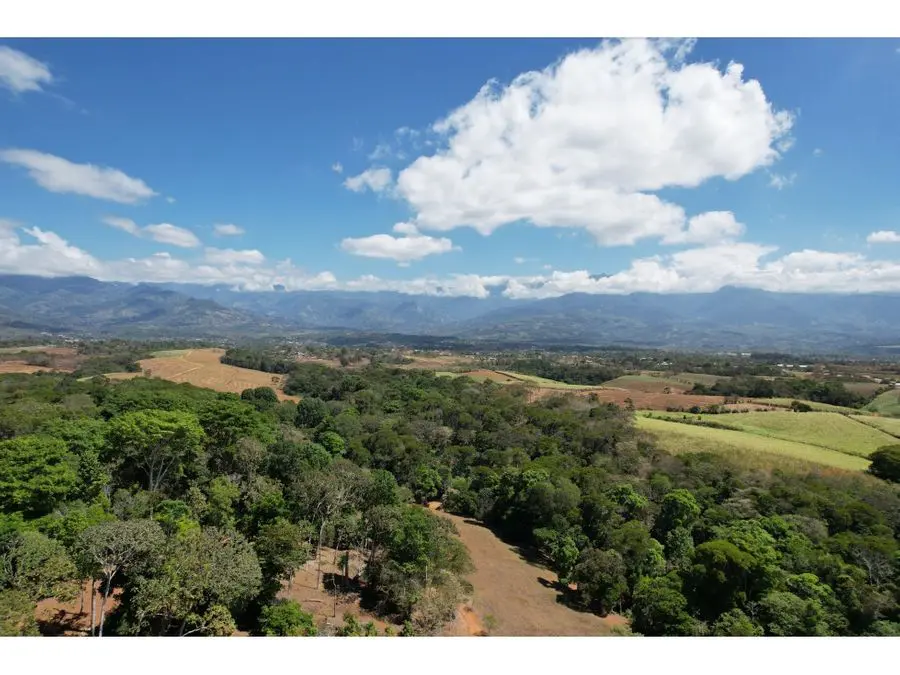 Farms and Ranches for sale in San Isidro-Perez Zeledon Costa Rica