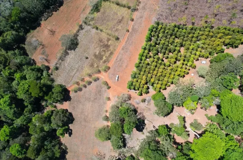 Farms and Ranches for sale in San Isidro-Perez Zeledon Costa Rica