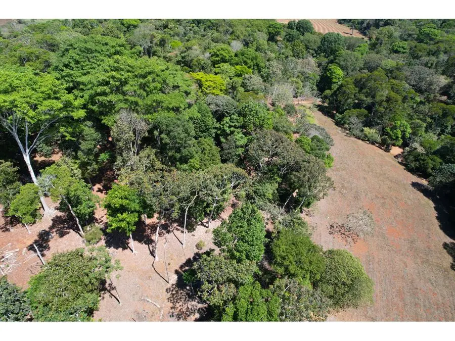 Farms and Ranches for sale in San Isidro-Perez Zeledon Costa Rica