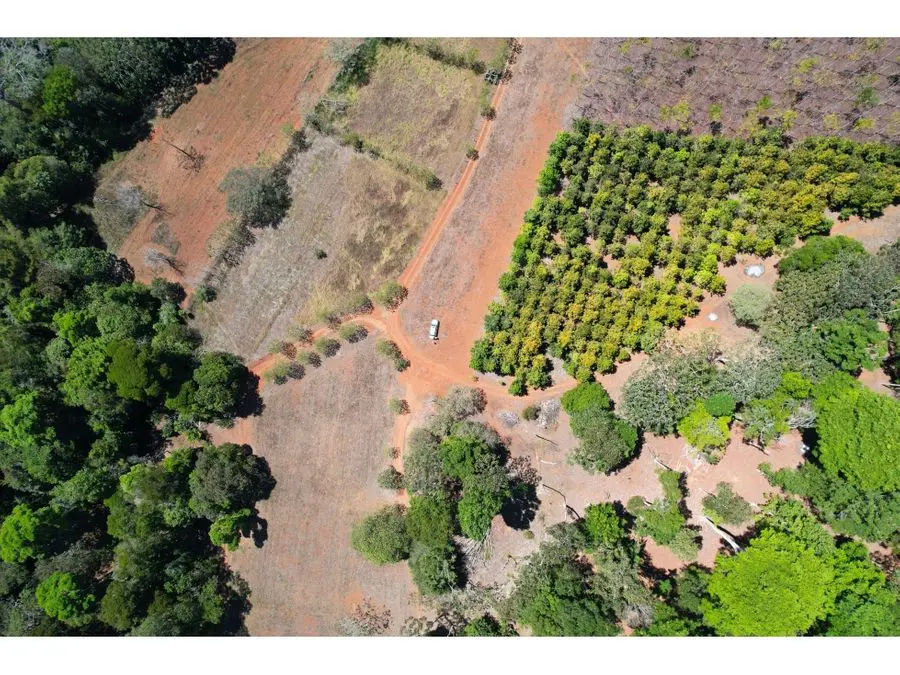 Farms and Ranches for sale in San Isidro-Perez Zeledon Costa Rica