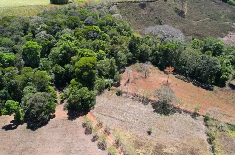 Farms and Ranches for sale in San Isidro-Perez Zeledon Costa Rica