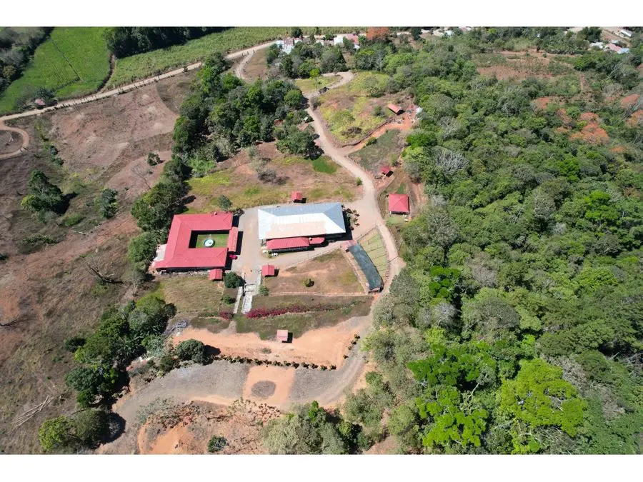 Farms and Ranches for sale in San Isidro-Perez Zeledon Costa Rica