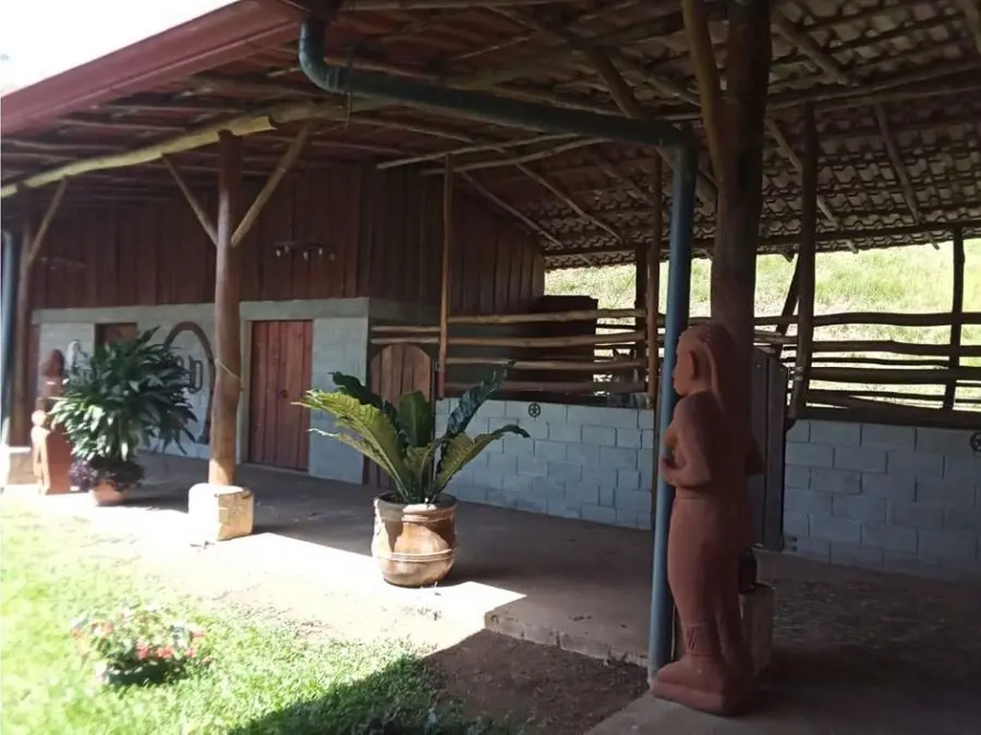 Farms and Ranches for sale in San Isidro-Perez Zeledon Costa Rica