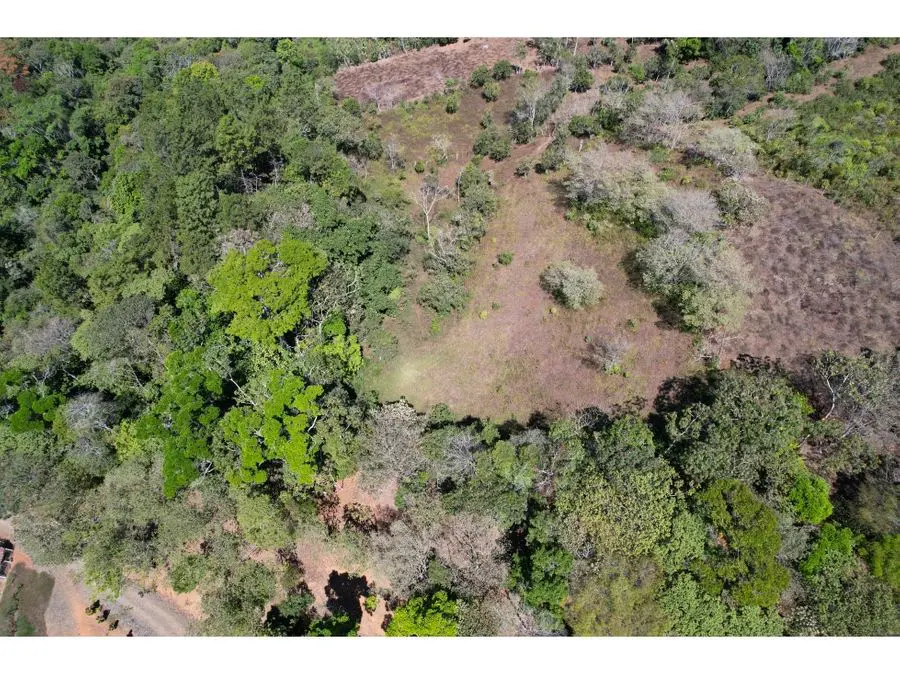 Farms and Ranches for sale in San Isidro-Perez Zeledon Costa Rica