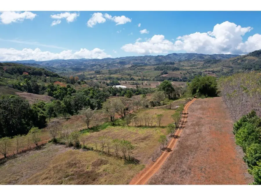 Farms and Ranches for sale in San Isidro-Perez Zeledon Costa Rica