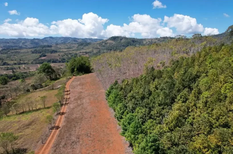 Farms and Ranches for sale in San Isidro-Perez Zeledon Costa Rica