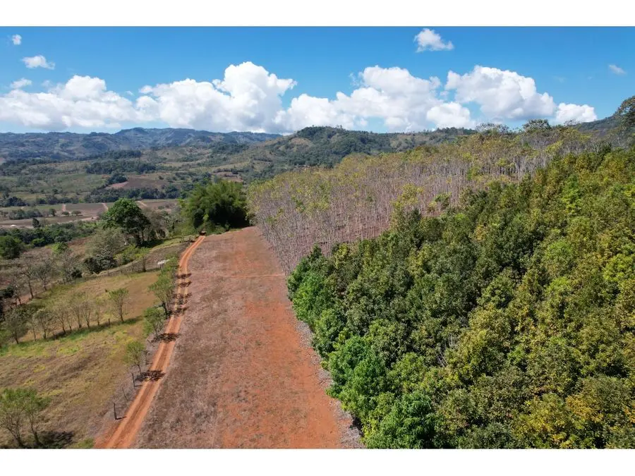 Farms and Ranches for sale in San Isidro-Perez Zeledon Costa Rica