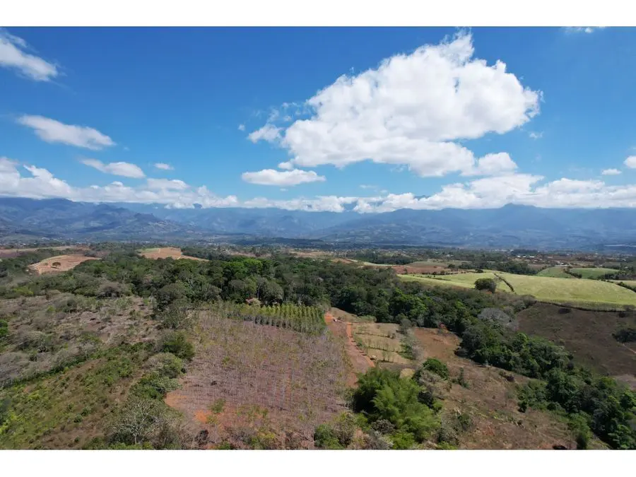 Farms and Ranches for sale in San Isidro-Perez Zeledon Costa Rica
