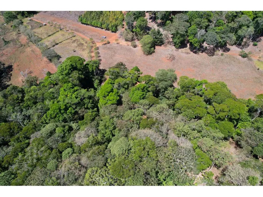 Farms and Ranches for sale in San Isidro-Perez Zeledon Costa Rica