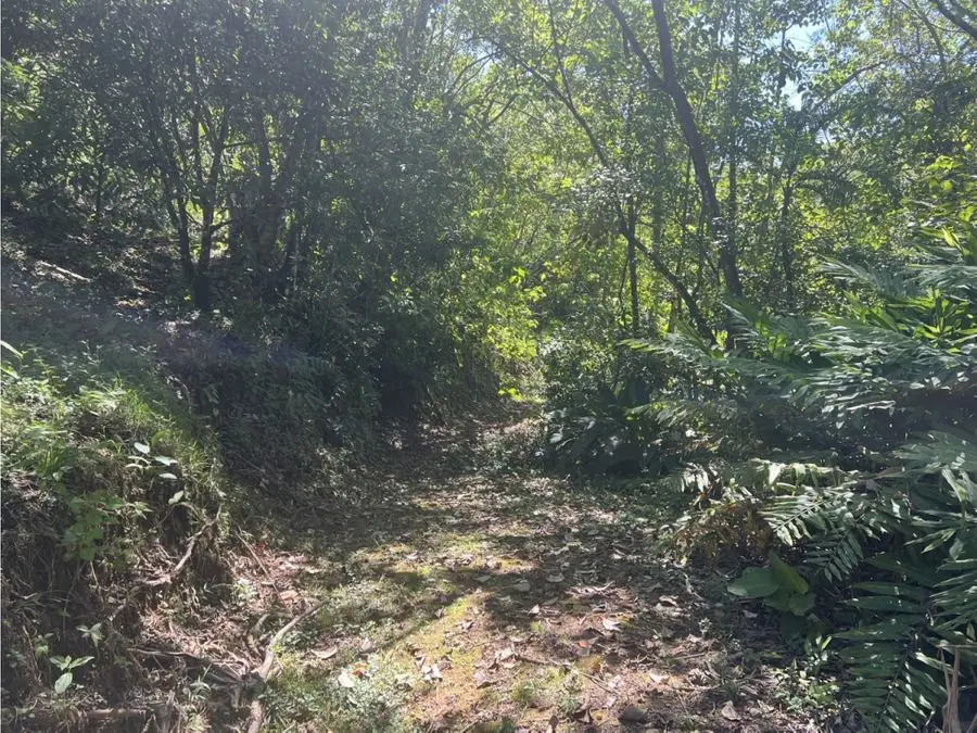 Development Land for sale in Uvita Costa Rica